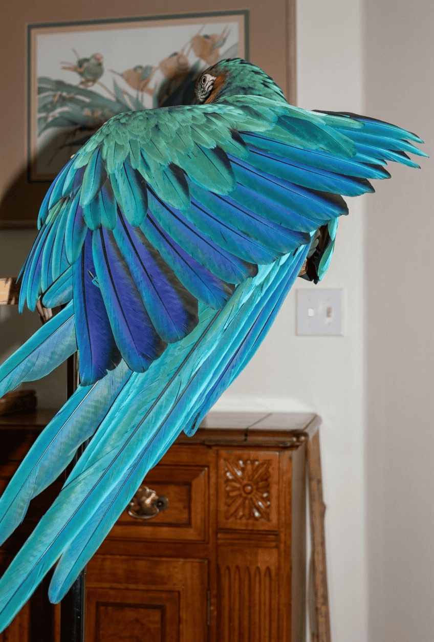 Arielle the blue-and-gold macaw, a parrot who demonstrates advanced cognitive speech abilities