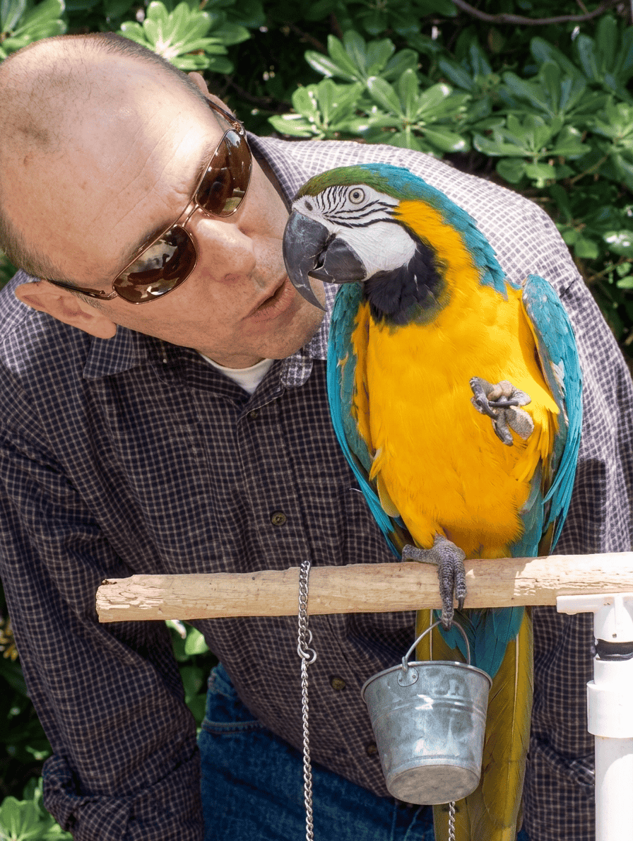 man-with-blue-and-gold-macaw-parrot-outdoor-interaction